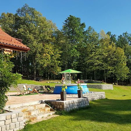 Sarna Karkonosze Apartment Bukowiec  Luaran gambar
