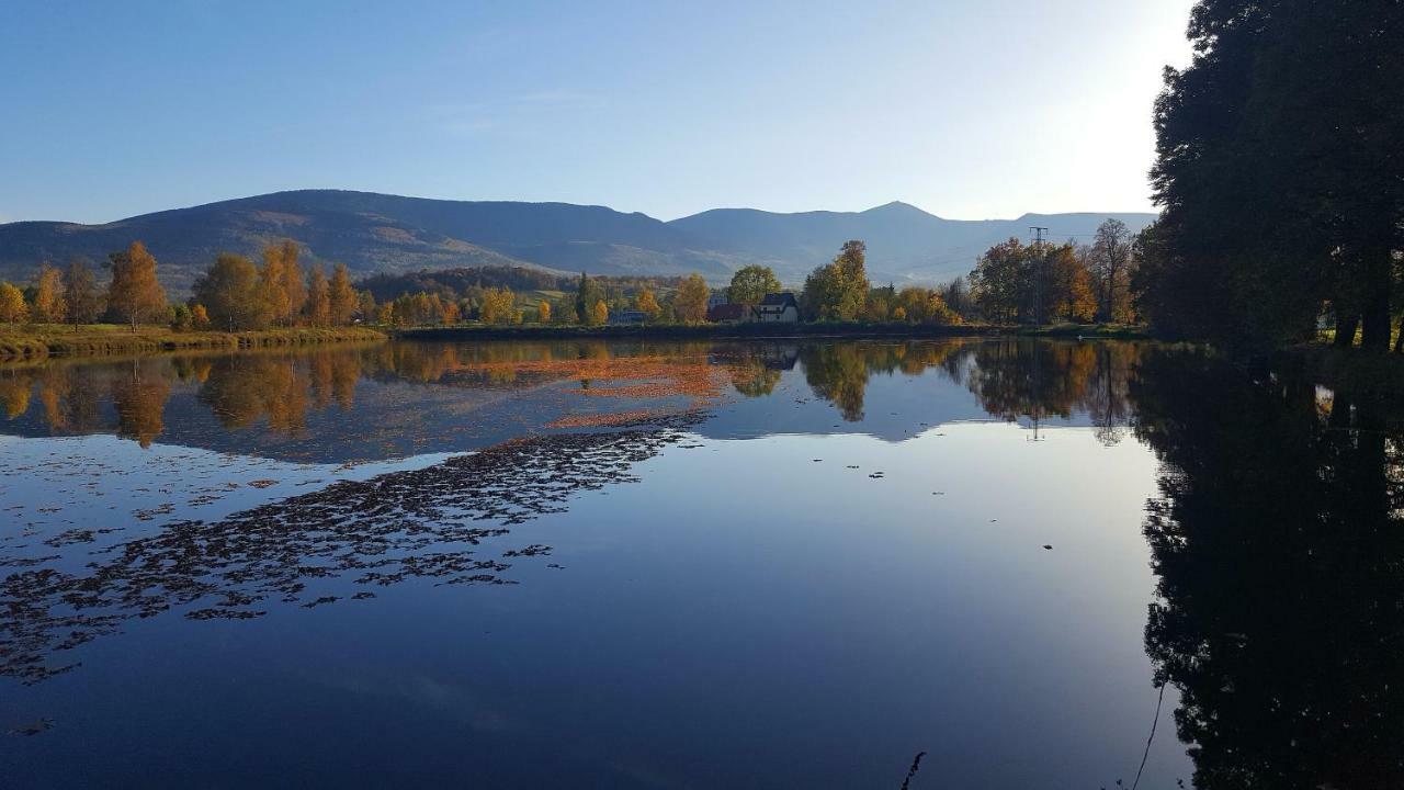 Sarna Karkonosze Apartment Bukowiec  Luaran gambar